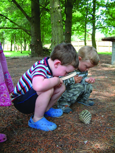 Woodland Scavenger Hunt at Castle Kennedy Gardens