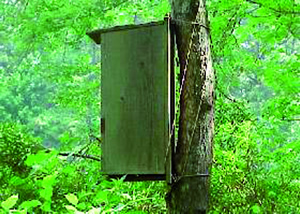 Build a Bird Box at Castle Kennedy Gardens